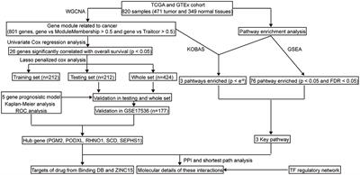 Identification of a Five-Gene Prognostic Model and Its Potential Drug Repurposing in Colorectal Cancer Based on TCGA, GTEx and GEO Databases